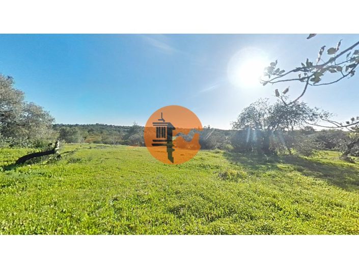 Image No.37-Plot for sale