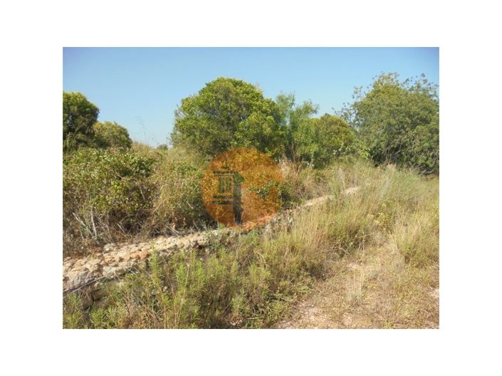 Image No.16-Plot for sale