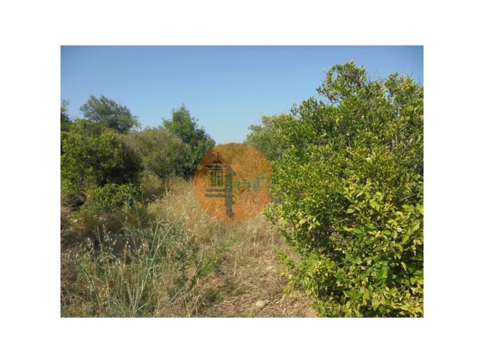 Image No.2-Plot for sale