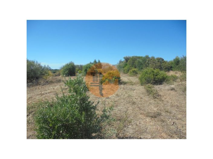 Image No.24-Plot for sale