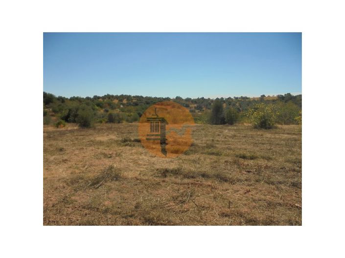 Image No.26-Plot for sale