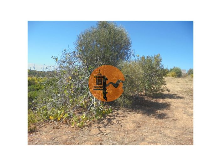 Image No.29-Plot for sale