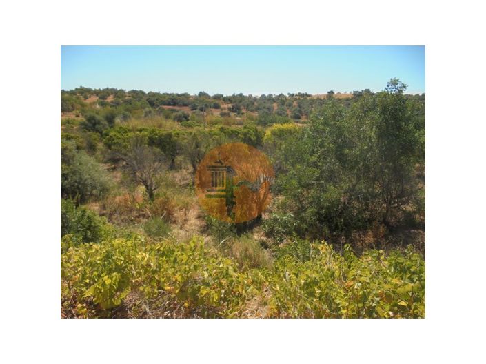 Image No.30-Plot for sale