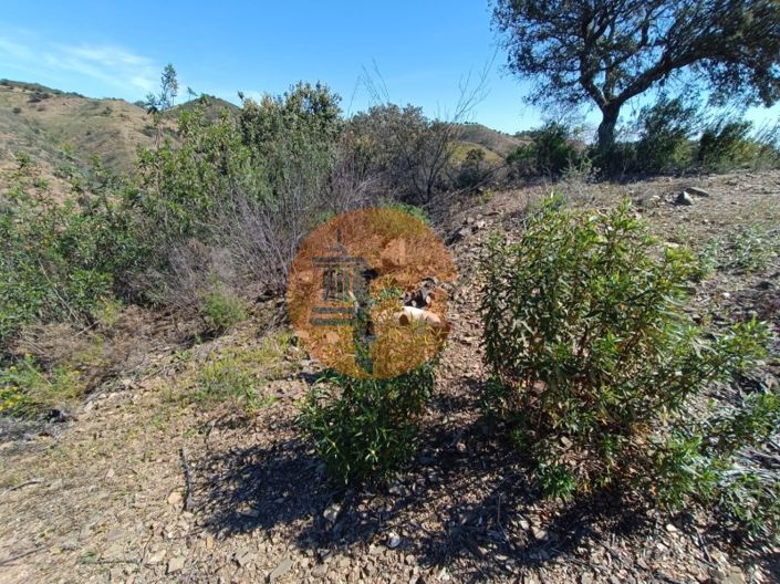 Image No.13-Plot for sale