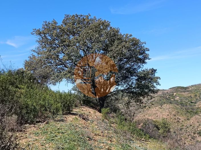 Image No.20-Plot for sale