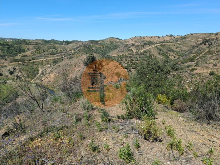 Image No.7-Plot for sale