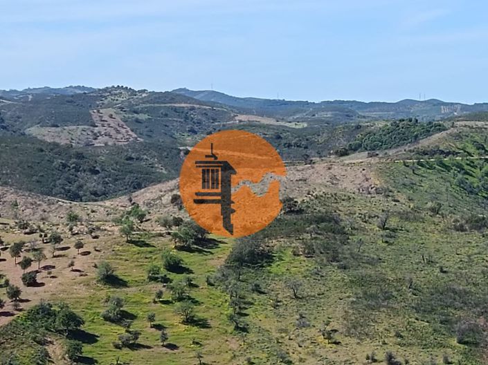 Image No.8-Plot for sale