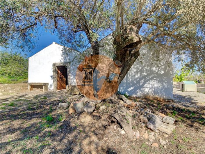 Image No.33-Ferme de 5 chambres à vendre à Tavira