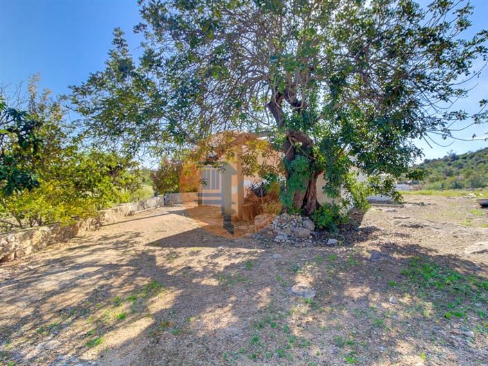 Image No.35-Ferme de 5 chambres à vendre à Tavira