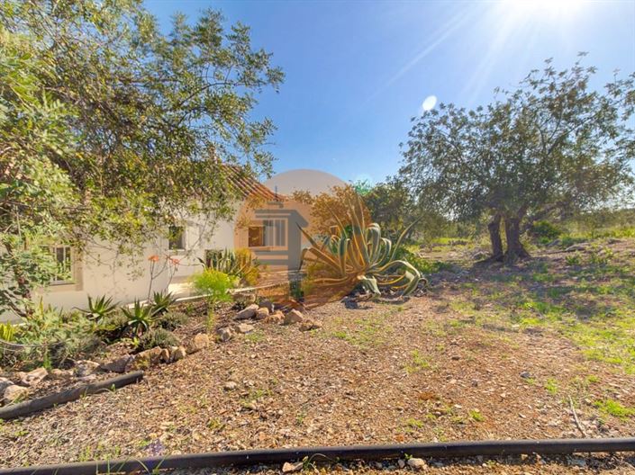 Image No.44-Ferme de 5 chambres à vendre à Tavira