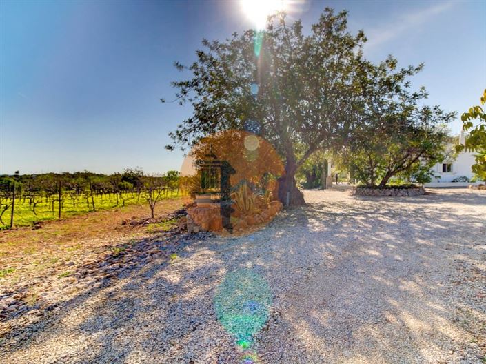Image No.45-Ferme de 5 chambres à vendre à Tavira