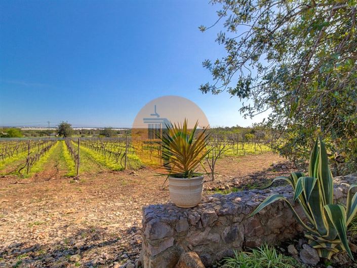 Image No.47-Ferme de 5 chambres à vendre à Tavira