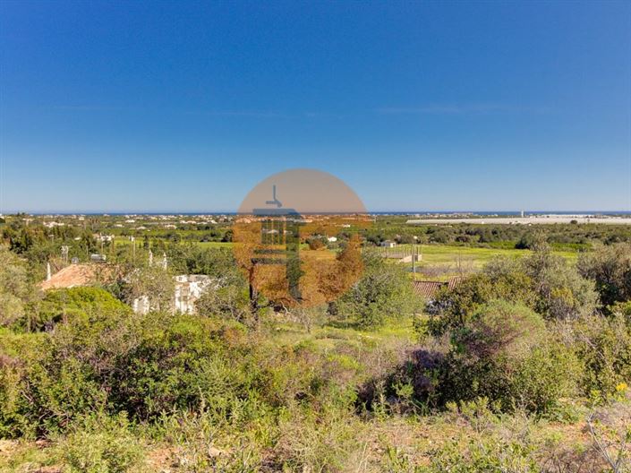 Image No.51-Ferme de 5 chambres à vendre à Tavira