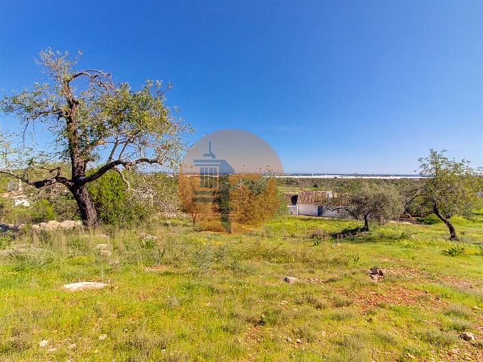 Image No.54-Ferme de 5 chambres à vendre à Tavira