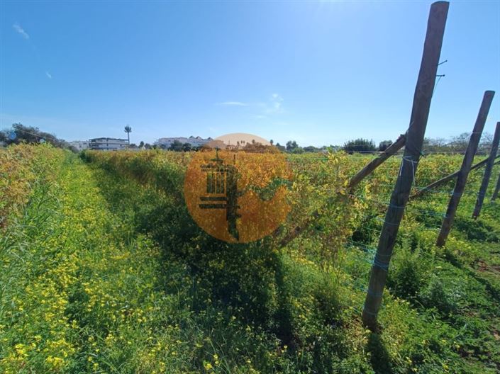 Image No.40-4 Bed Farmhouse for sale