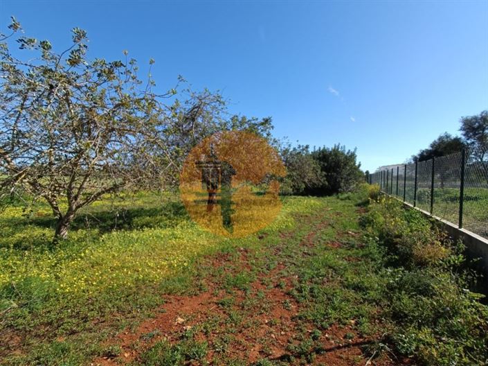 Image No.41-4 Bed Farmhouse for sale