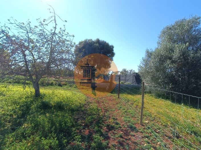 Image No.47-4 Bed Farmhouse for sale