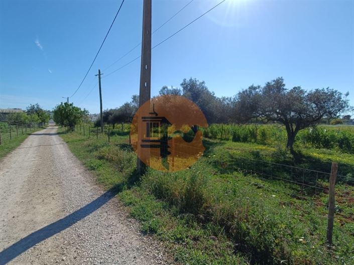 Image No.50-4 Bed Farmhouse for sale