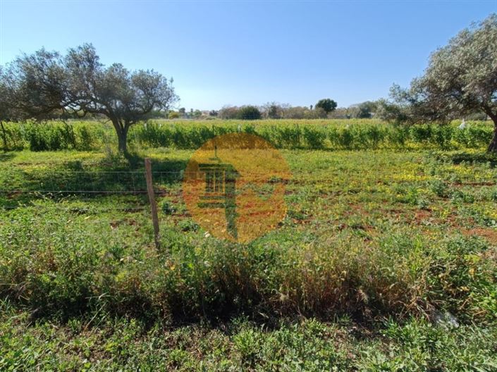Image No.51-4 Bed Farmhouse for sale