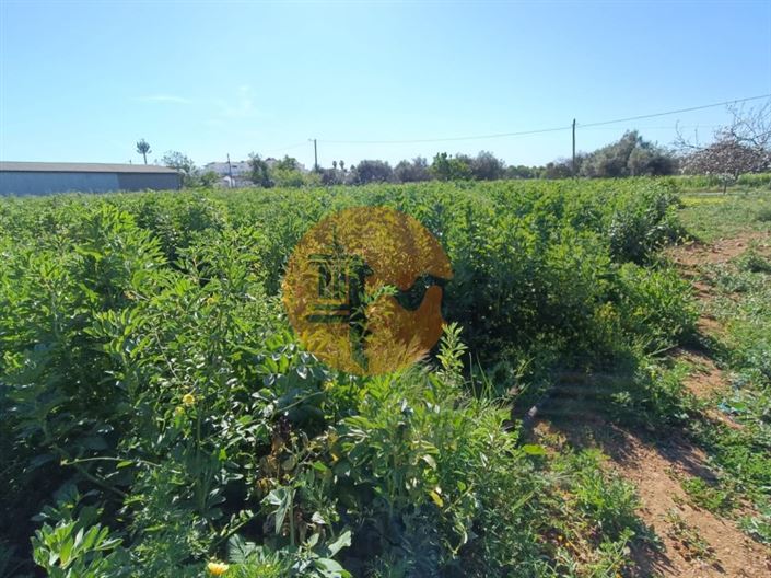 Image No.55-4 Bed Farmhouse for sale