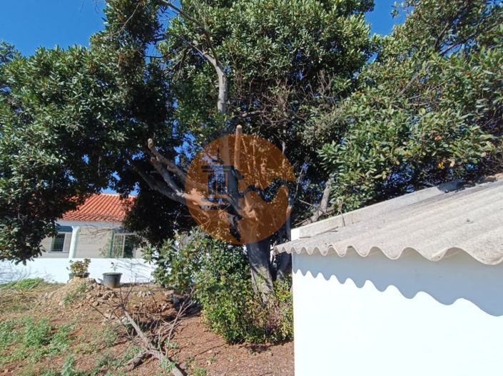 Image No.63-4 Bed Farmhouse for sale