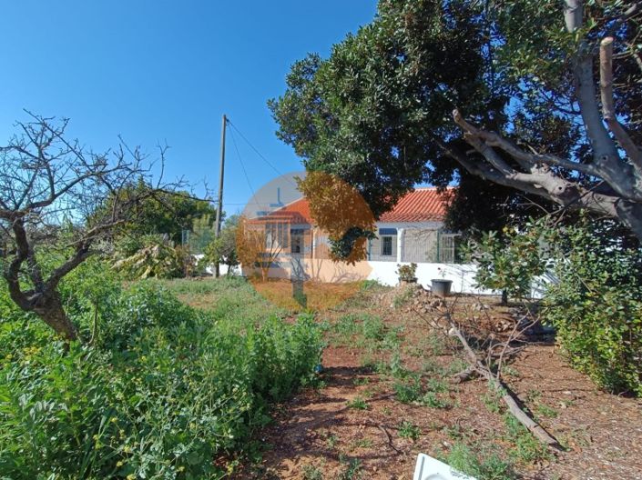 Image No.64-4 Bed Farmhouse for sale