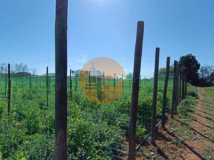 Image No.72-4 Bed Farmhouse for sale