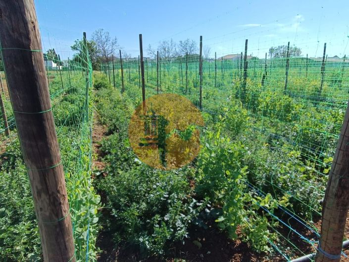 Image No.73-4 Bed Farmhouse for sale