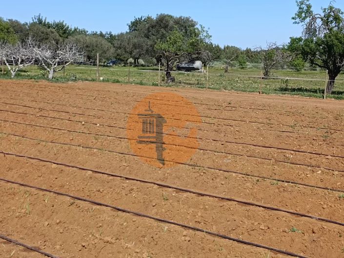 Image No.74-4 Bed Farmhouse for sale