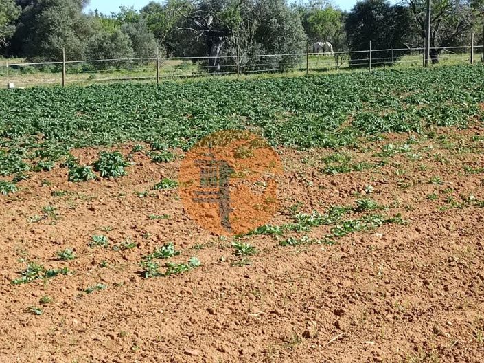 Image No.76-4 Bed Farmhouse for sale