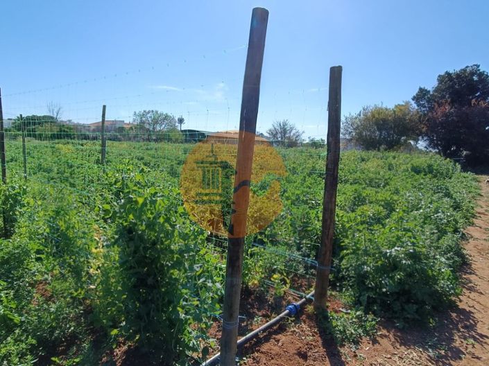 Image No.78-4 Bed Farmhouse for sale