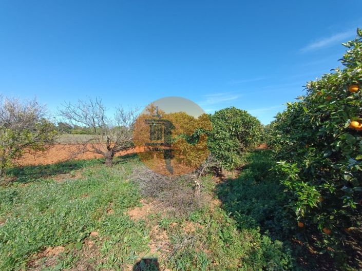 Image No.82-4 Bed Farmhouse for sale