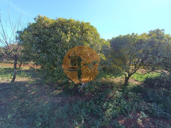 Image No.84-4 Bed Farmhouse for sale