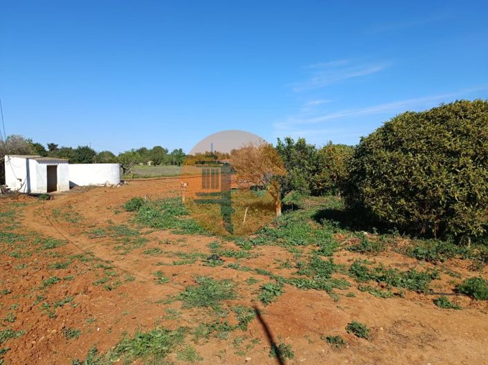 Image No.90-4 Bed Farmhouse for sale