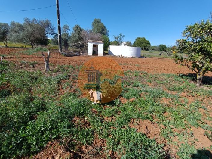 Image No.91-4 Bed Farmhouse for sale