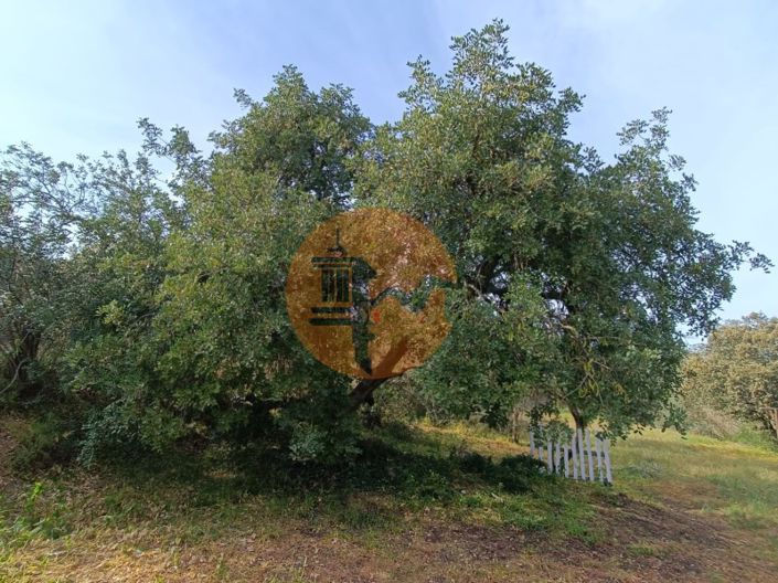 Image No.18-Plot for sale