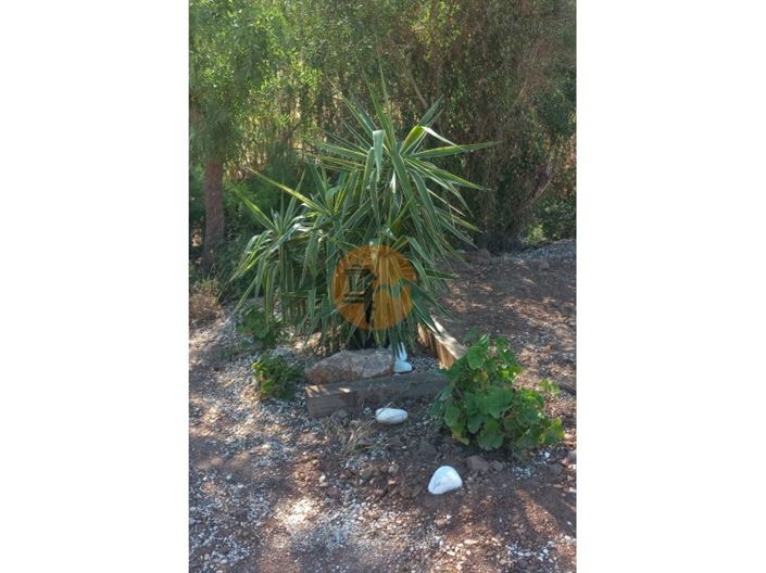 Image No.32-Plot for sale