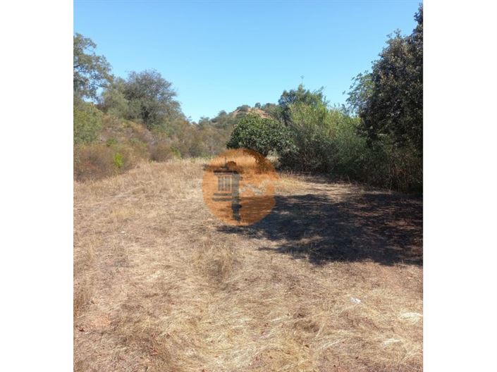 Image No.35-Plot for sale