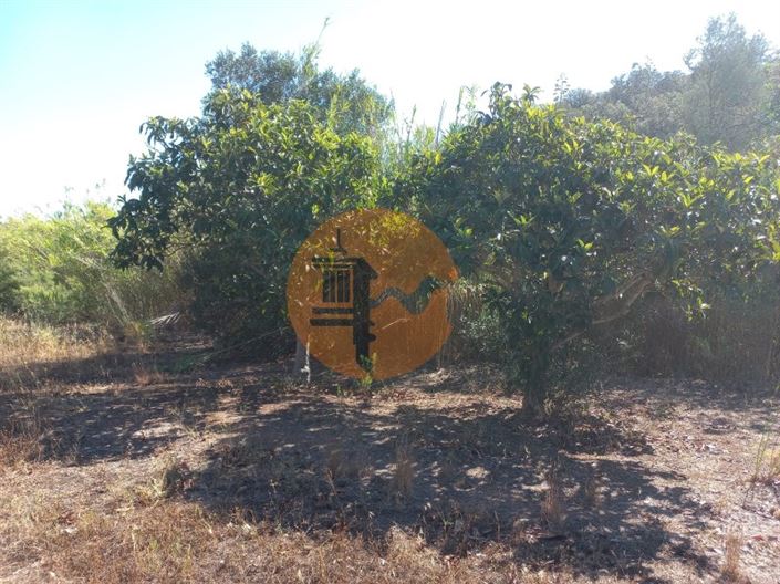 Image No.36-Plot for sale