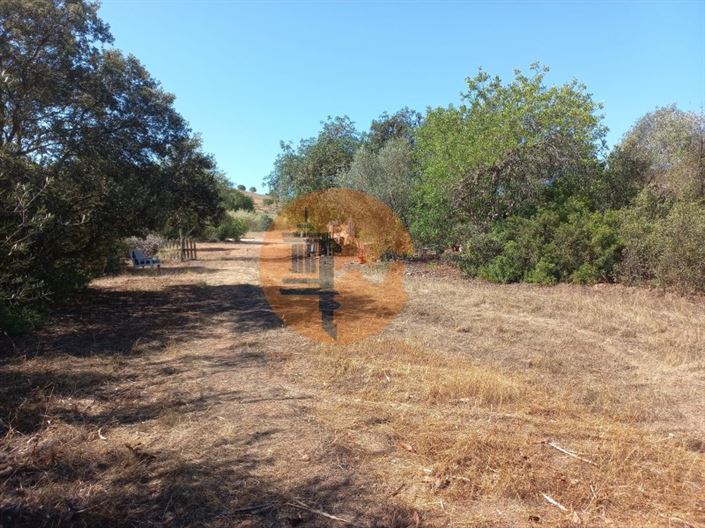 Image No.43-Plot for sale