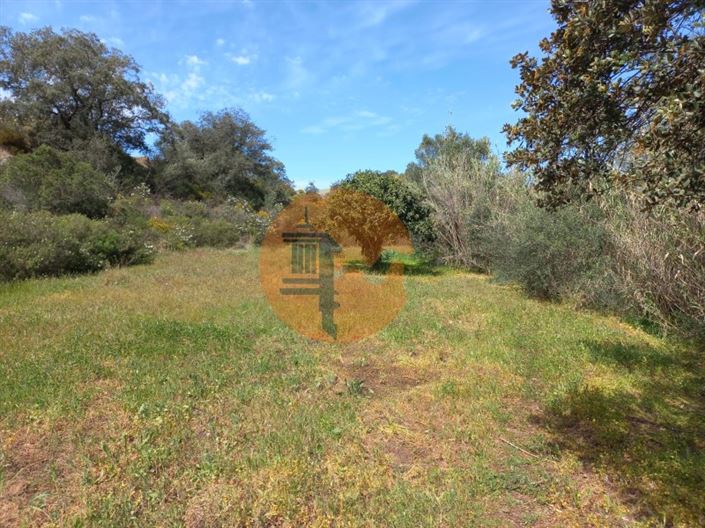 Image No.5-Plot for sale