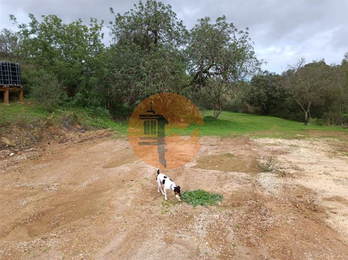 Image No.56-Plot for sale