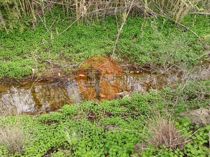 Image No.62-Plot for sale