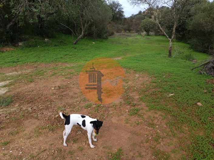 Image No.63-Plot for sale