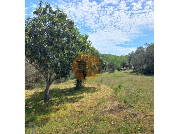 Image No.6-Plot for sale