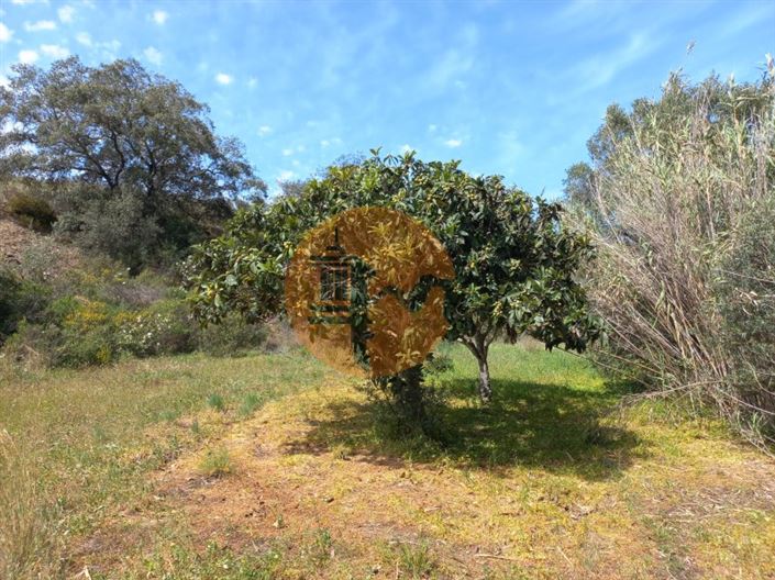 Image No.8-Plot for sale