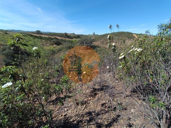 Image No.11-Plot for sale