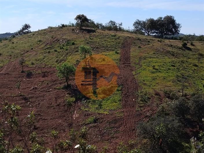 Image No.13-Plot for sale