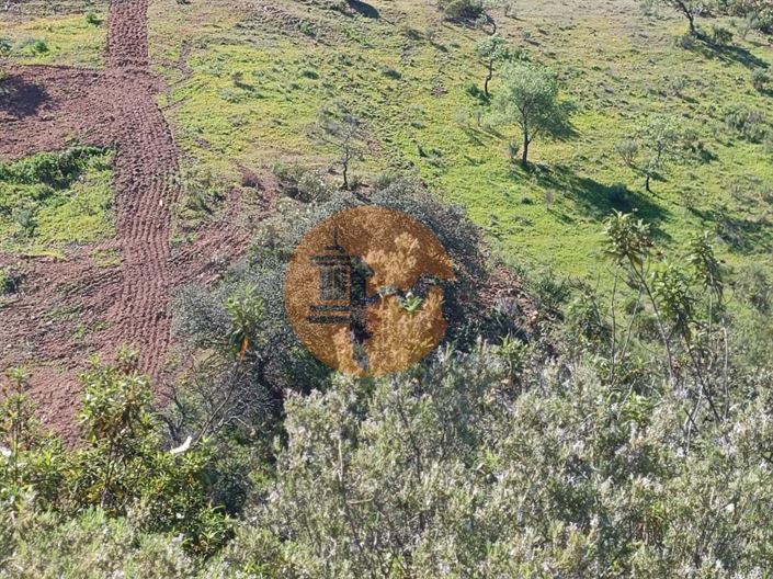 Image No.14-Plot for sale