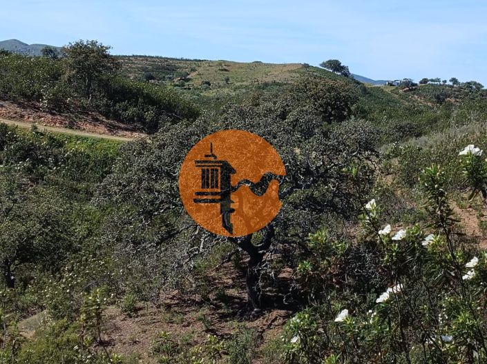 Image No.17-Plot for sale